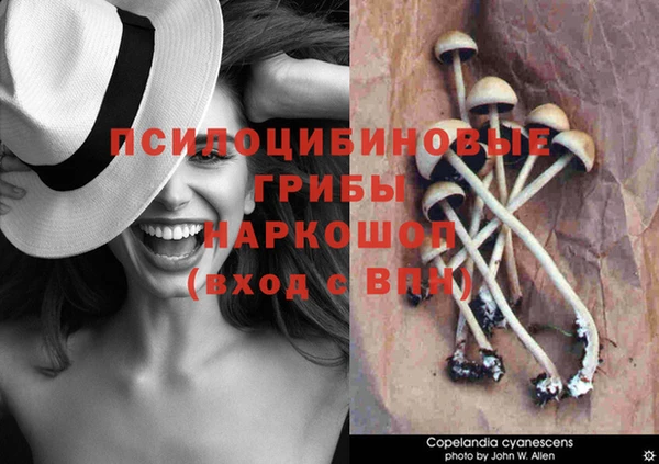 метамфетамин Осташков