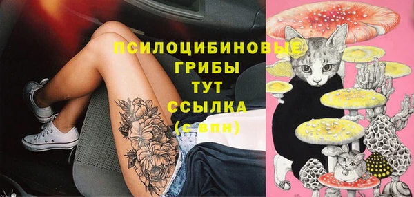 метамфетамин Осташков