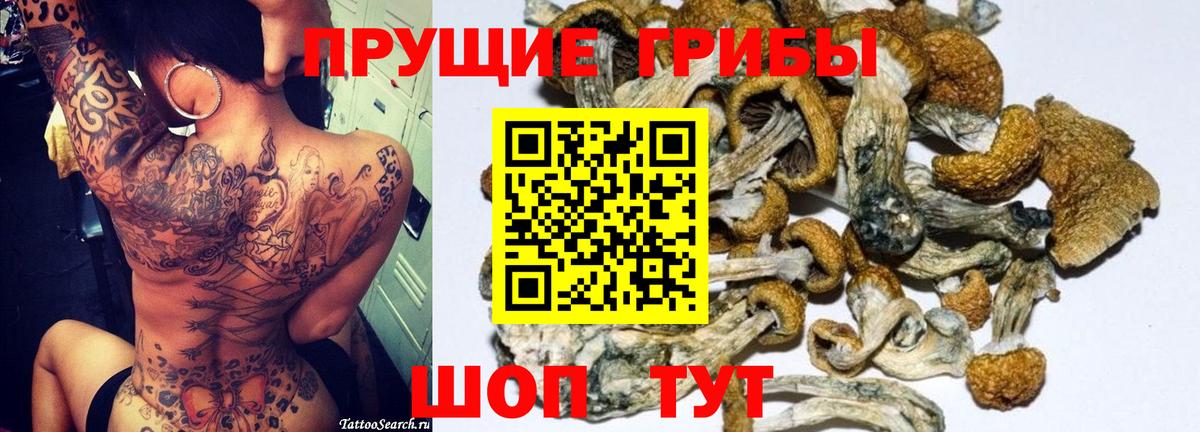 Галлюциногенные грибы Magic Shrooms Шуя