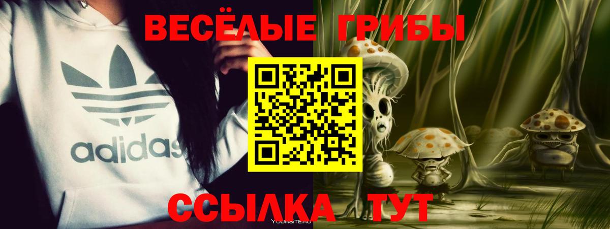 Шуя  наркота  Вход с VPN  Галлюциногенные грибы Magic Shrooms  Псилоцибиновые грибы Psilocybe 